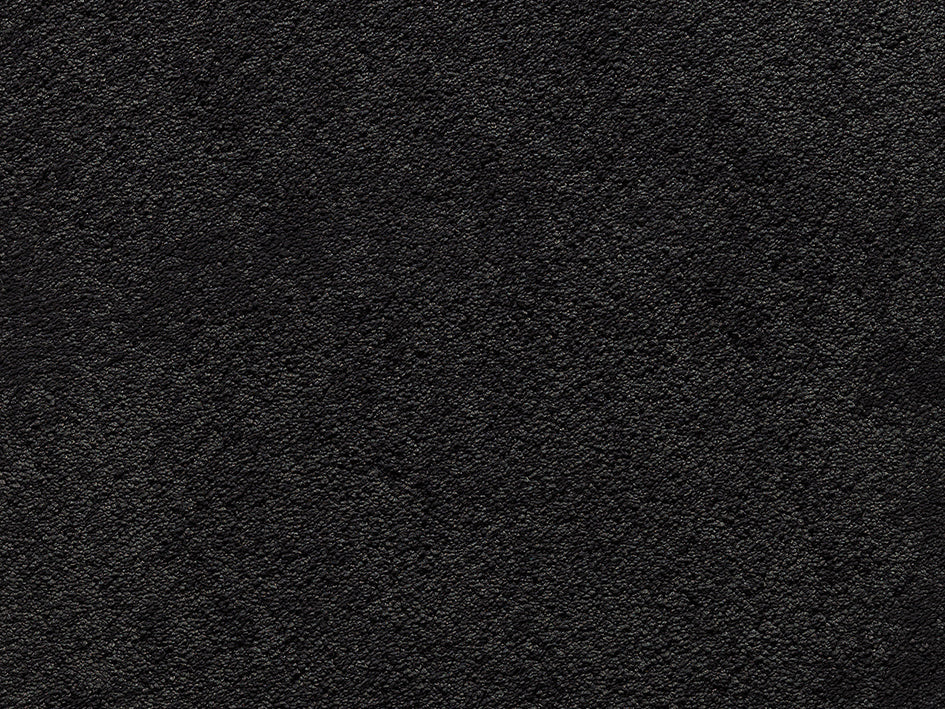 Premium Teppich Anemone
