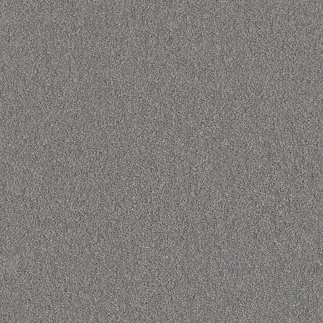 Premium Teppich Body