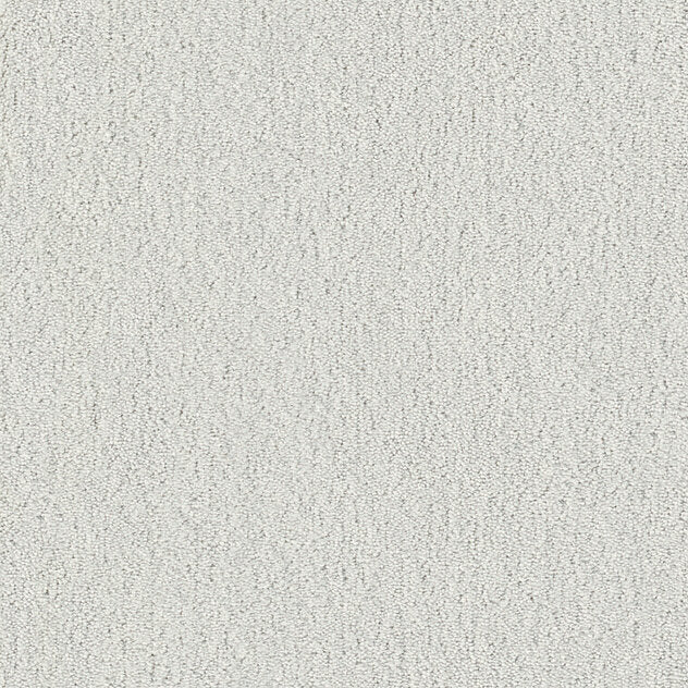 Premium Teppich Cotone Touch