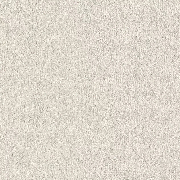 Premium Teppich Cotone Touch