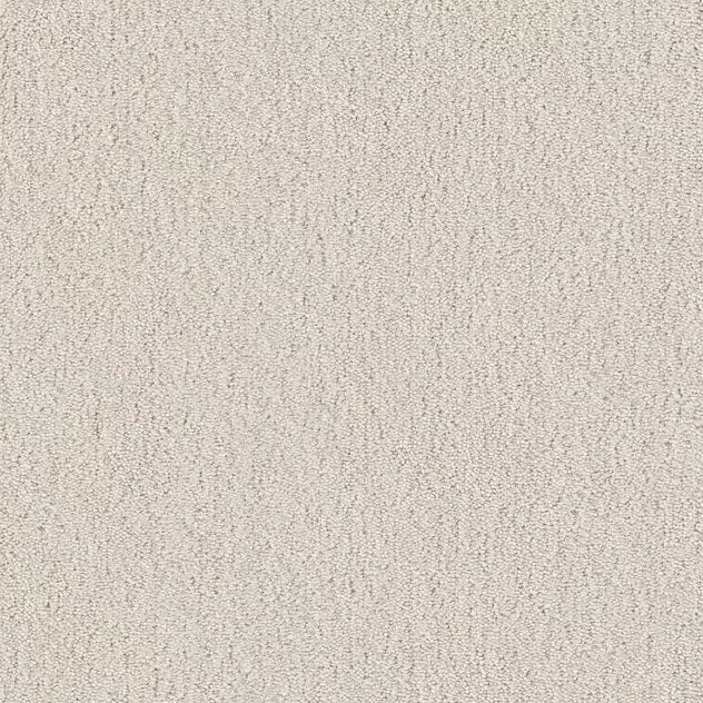 Premium Teppich Cotone Touch