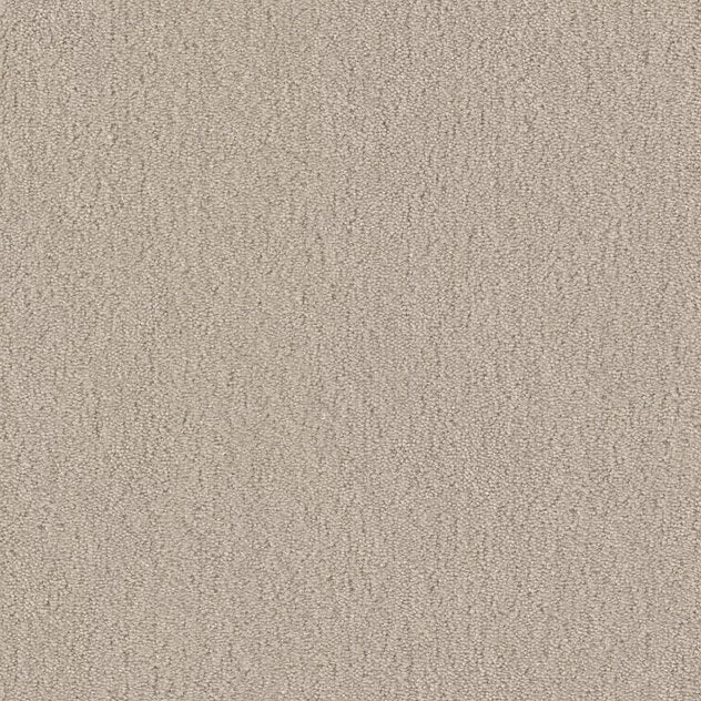 Premium Teppich Cotone Touch