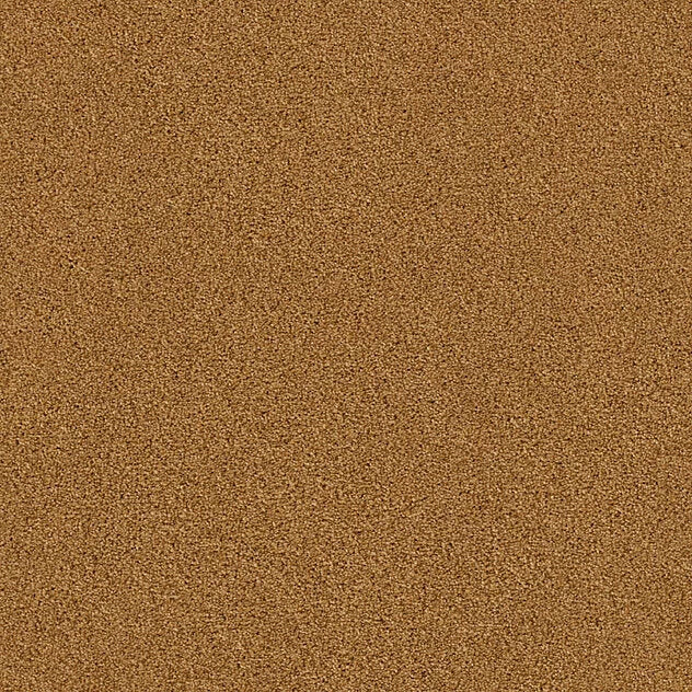Premium Teppich Twin