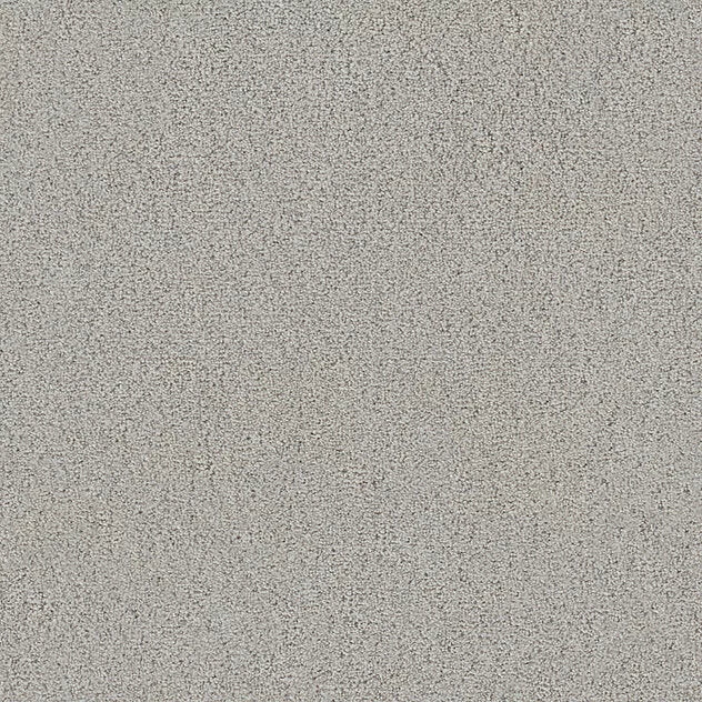 Premium Teppich Twin