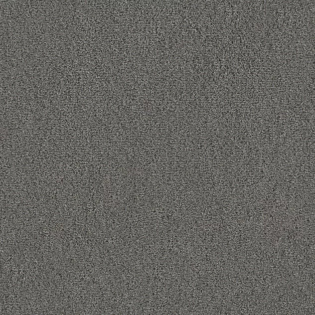 Premium Teppich Twin