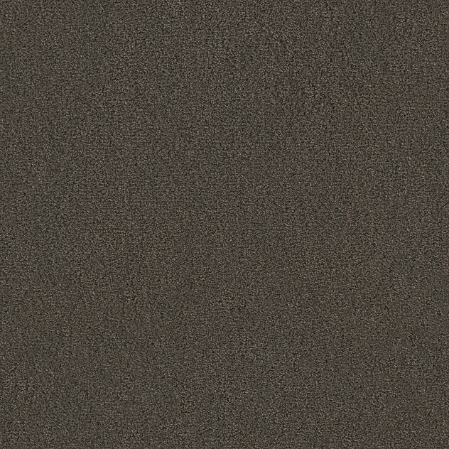 Premium Teppich Twin