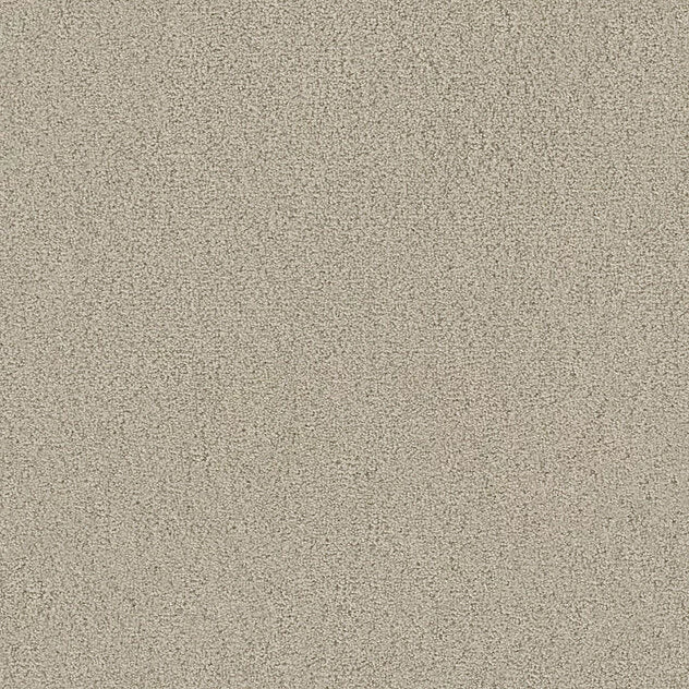 Premium Teppich Twin