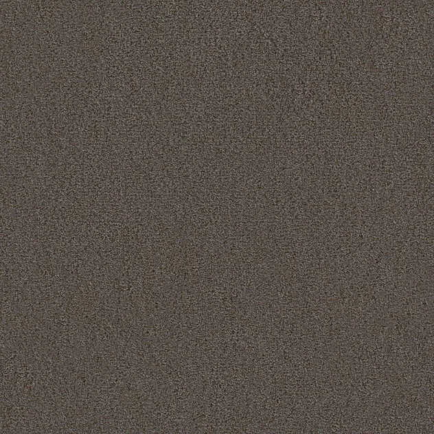 Premium Teppich Twin