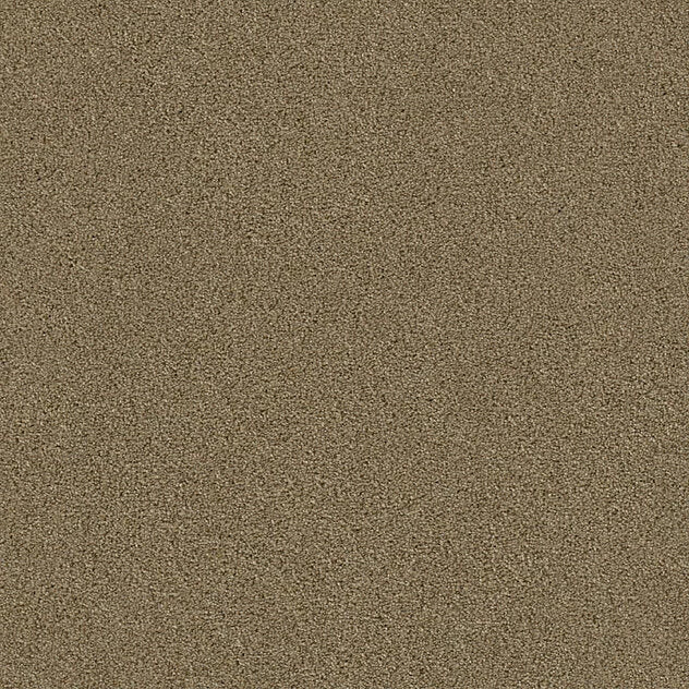Premium Teppich Twin